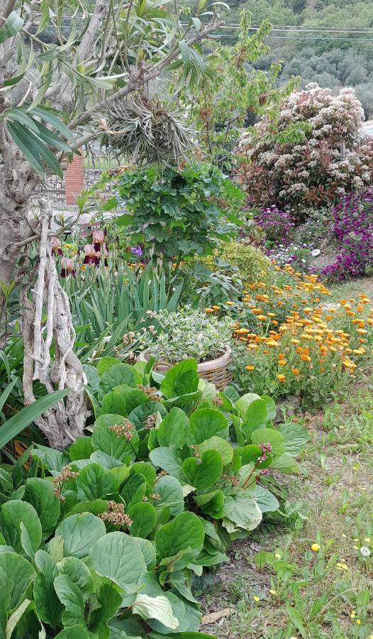 Apartamento La Casa Nel Caruggio Diano Arentino Exterior foto